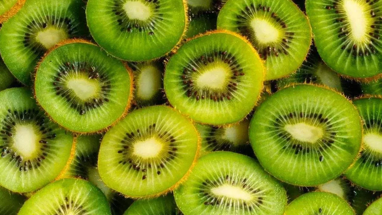 Kiviä