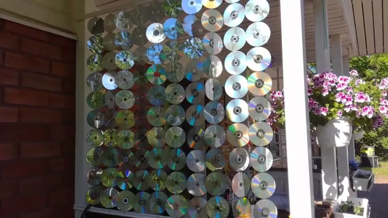 Cd
