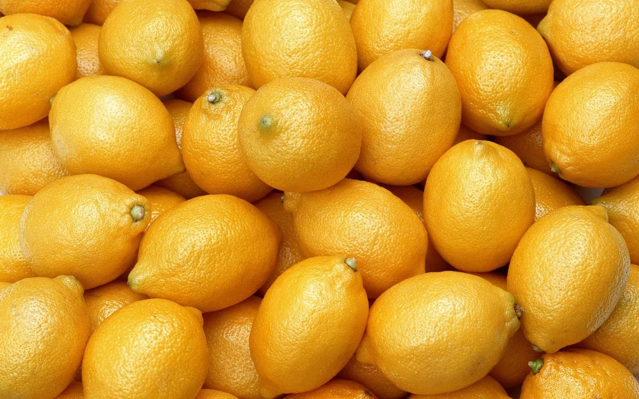 Mitkä Hedelmät Karkottavat Torakoita Ja Miten Niitä Käytetään?
