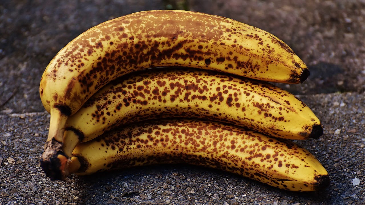 Banaanisi Pysyvät Keltaisina Ja Tuoreina 16 Päivän Ajan Tämän Innovatiivisen Säilytystavan Ansiosta, Jota Kuka Tahansa Voi Käyttää.