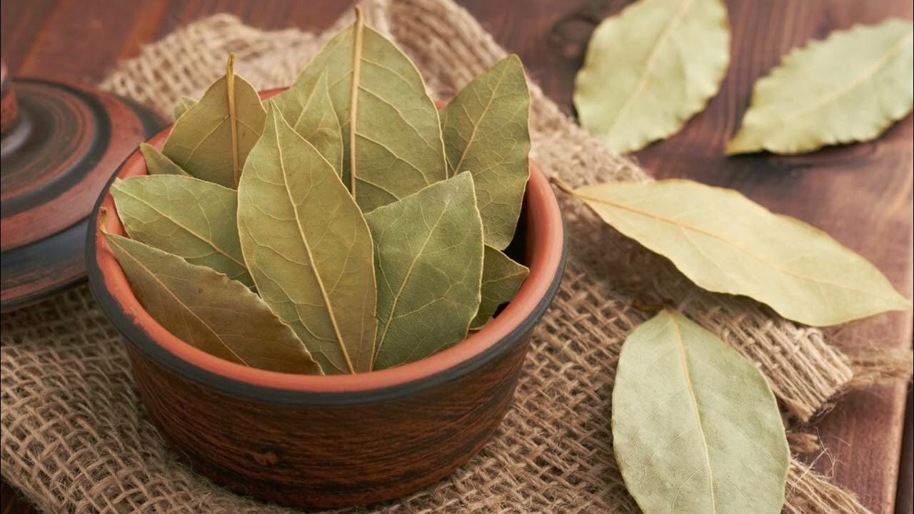 Laita Laakerinlehti Kenkään: Luonnollinen Temppu, Joka Muuttaa Kaiken