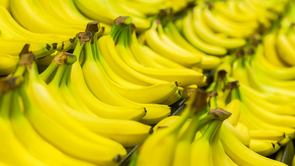 Banaanisi Pysyvät Keltaisina Ja Tuoreina 16 Päivän Ajan Tämän Innovatiivisen Säilytystavan Ansiosta, Jota Kuka Tahansa Voi Käyttää.