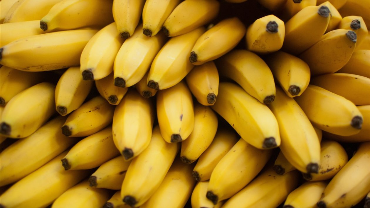 Banaani